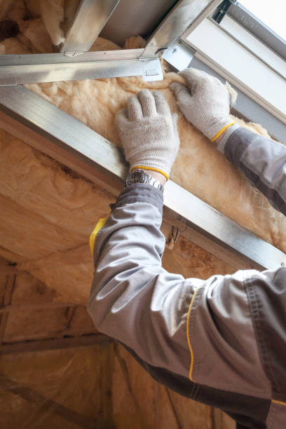 Best Spray Foam Insulation  in Milford, NE