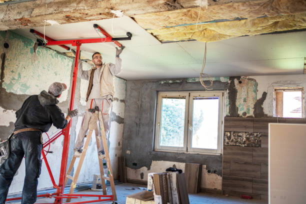 Best Insulation Removal  in Milford, NE