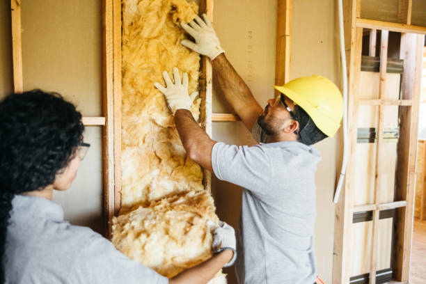 Best Crawl Space Insulation  in Milford, NE