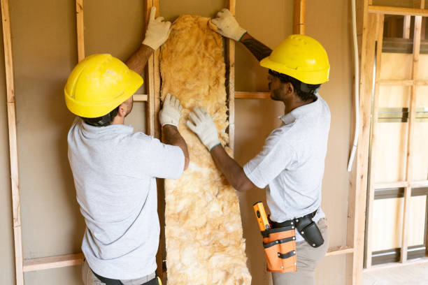 Best Insulation Removal  in Milford, NE