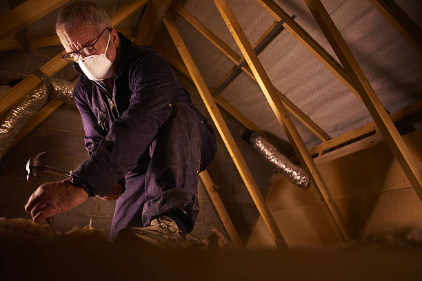 Best Energy-efficient Insulation  in Milford, NE