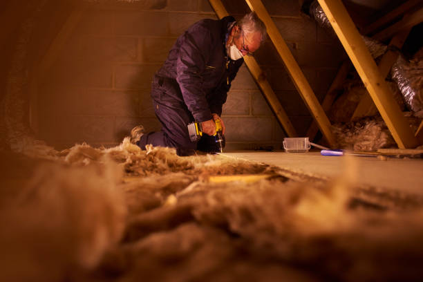 Best Cellulose Insulation  in Milford, NE