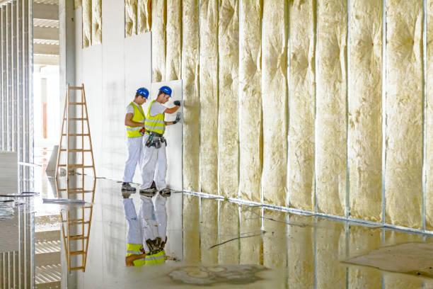 Best Local Insulation Services  in Milford, NE